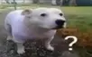 ?