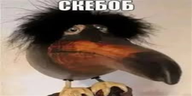skebob emote