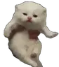 ewpJam emote