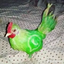 gallowaza