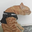 shrimpcat