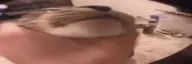 wideCatJork