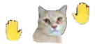 quesoqueso