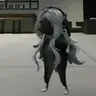 NEPUNI emote