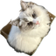 thanosStare