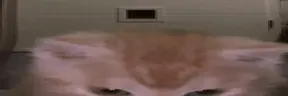 aura emote