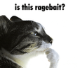 ragebait? emote