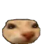 doseBounce