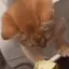 NO