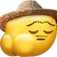 Bota