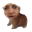 pokebert