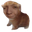 dizbert
