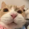 crunchy emote
