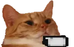 mhm emote