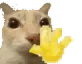 ola