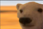 ob emote
