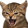 LFG emote