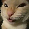 Nyehehehe emote
