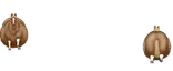 :лошади: