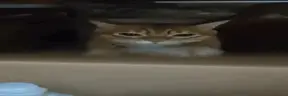 )( emote