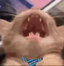 Waaa emote