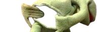 kermitGape00