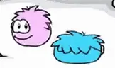 puffleDance emote