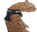 POSTURE