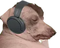 creatureJAM emote