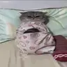 dih emote