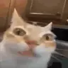 mre emote
