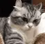 hiss