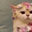 CutebutReallySad