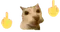 fuckyoufuckyou