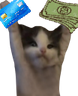 BOUGHT emote