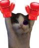 FOUGHT emote