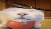 japorzko emote