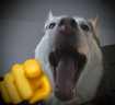 ha emote