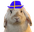 vargStampe