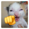 kkkk emote