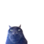 br