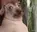 creaturePossessed