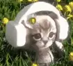 vibin emote