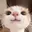:33