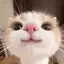 :33