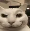catSmirk