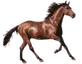 GLUE