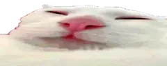 LICK emote