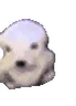 dani emote