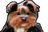 bbHOLD